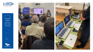 Accesibilidad comunicativa para prevenir el acoso entre el alumnado autista